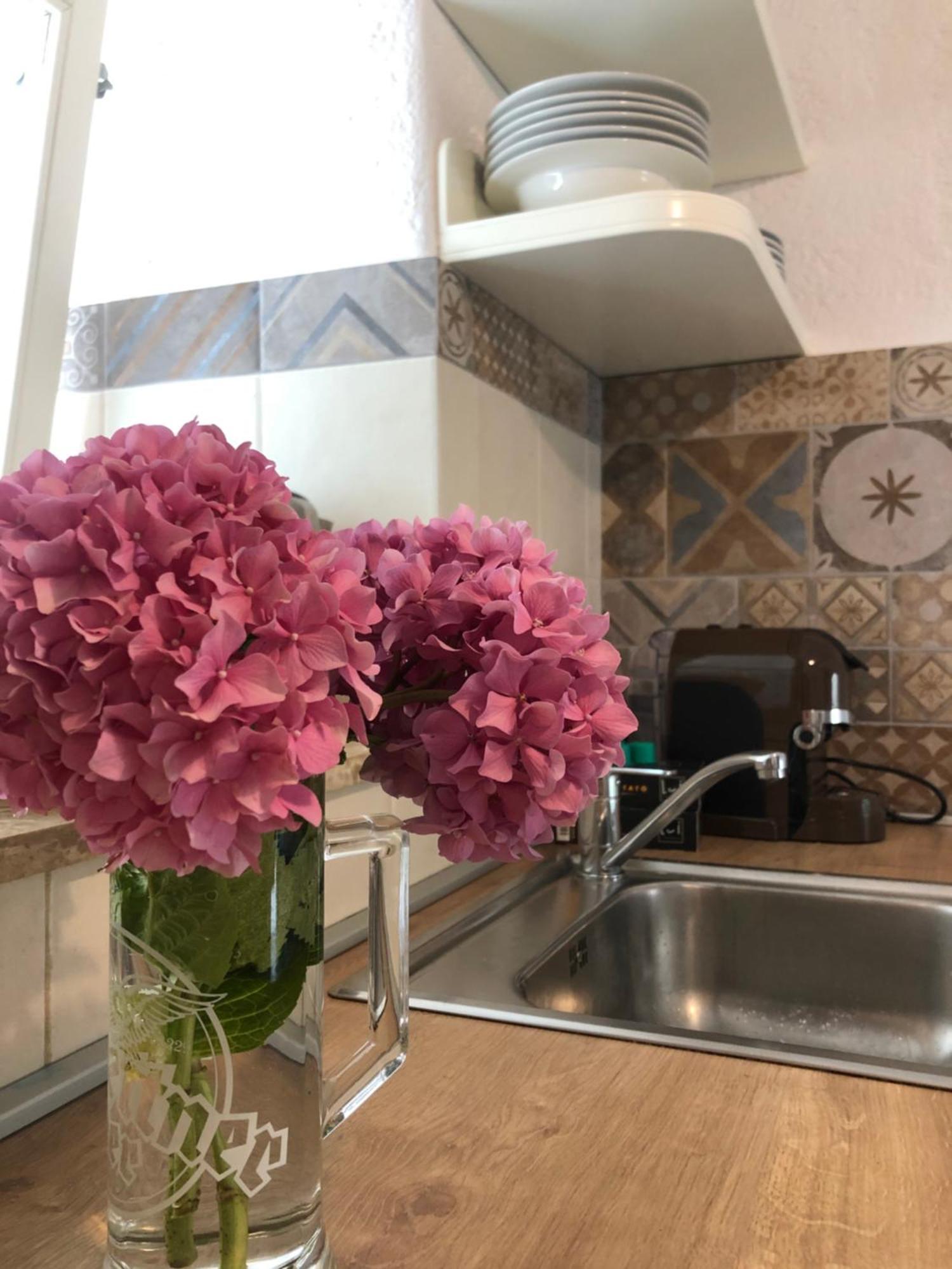 מושצ'ניצה Apartment Susanj מראה חיצוני תמונה